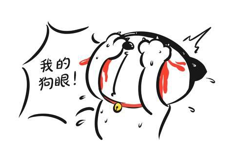 500亿钱宝网暴雷！宝粉们不信，还哭求继续加仓；员工还继续发微博