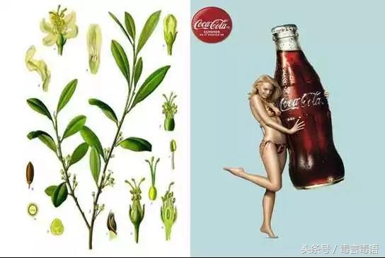 咔哇潮料会上瘾吗,网红饮料臭水