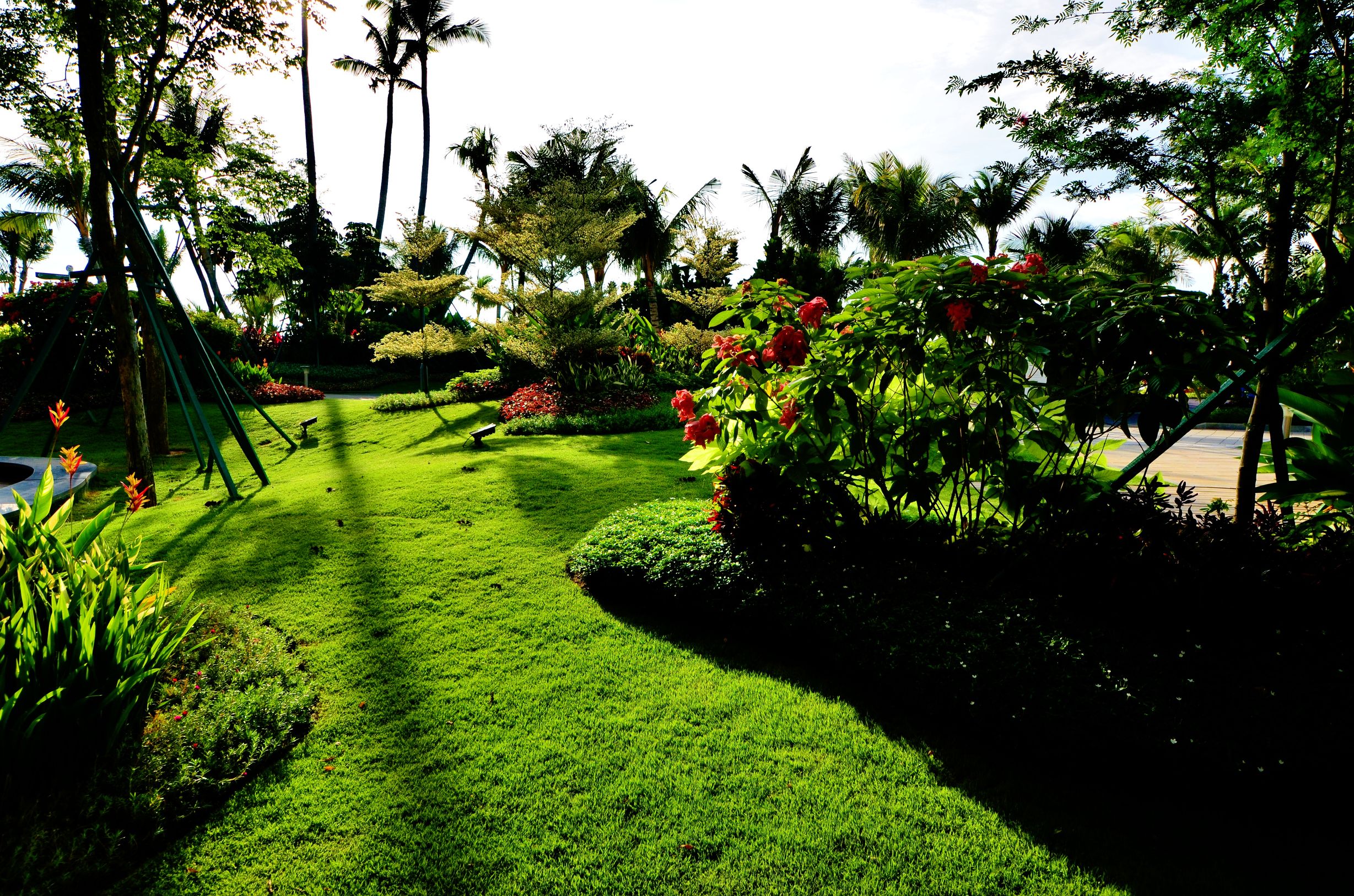 马来西亚新山有多大,马来西亚新山生活真实状况