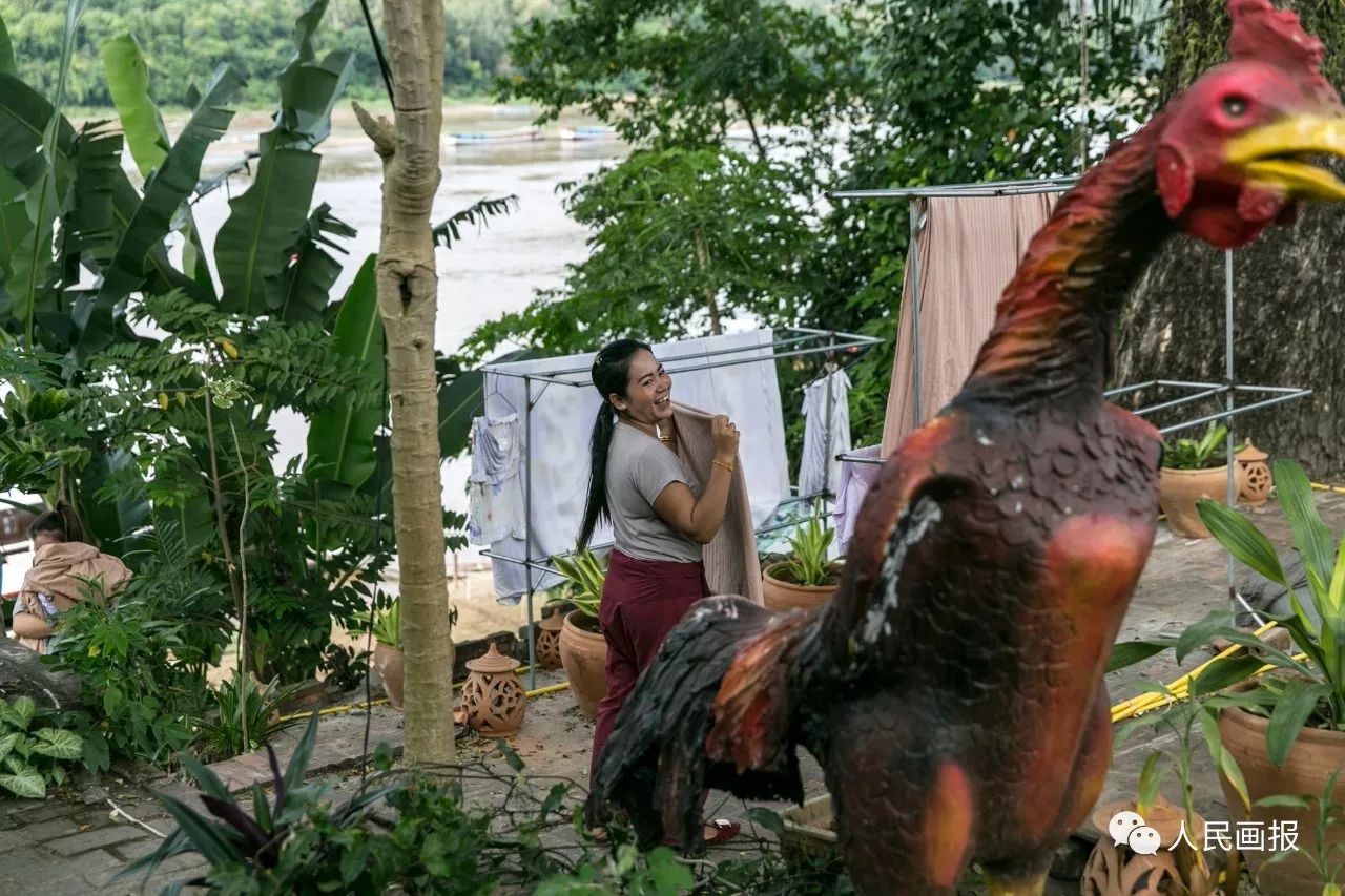 我的一周英语画报图片,我的一周英语画报