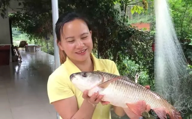 2017终极干货!欢子、猪倌、9妹……百万流量大咖运营攻略都给你!