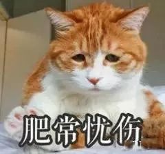 熬夜眼袋黑眼圈小秘方,喜欢熬夜不长黑眼圈的方法