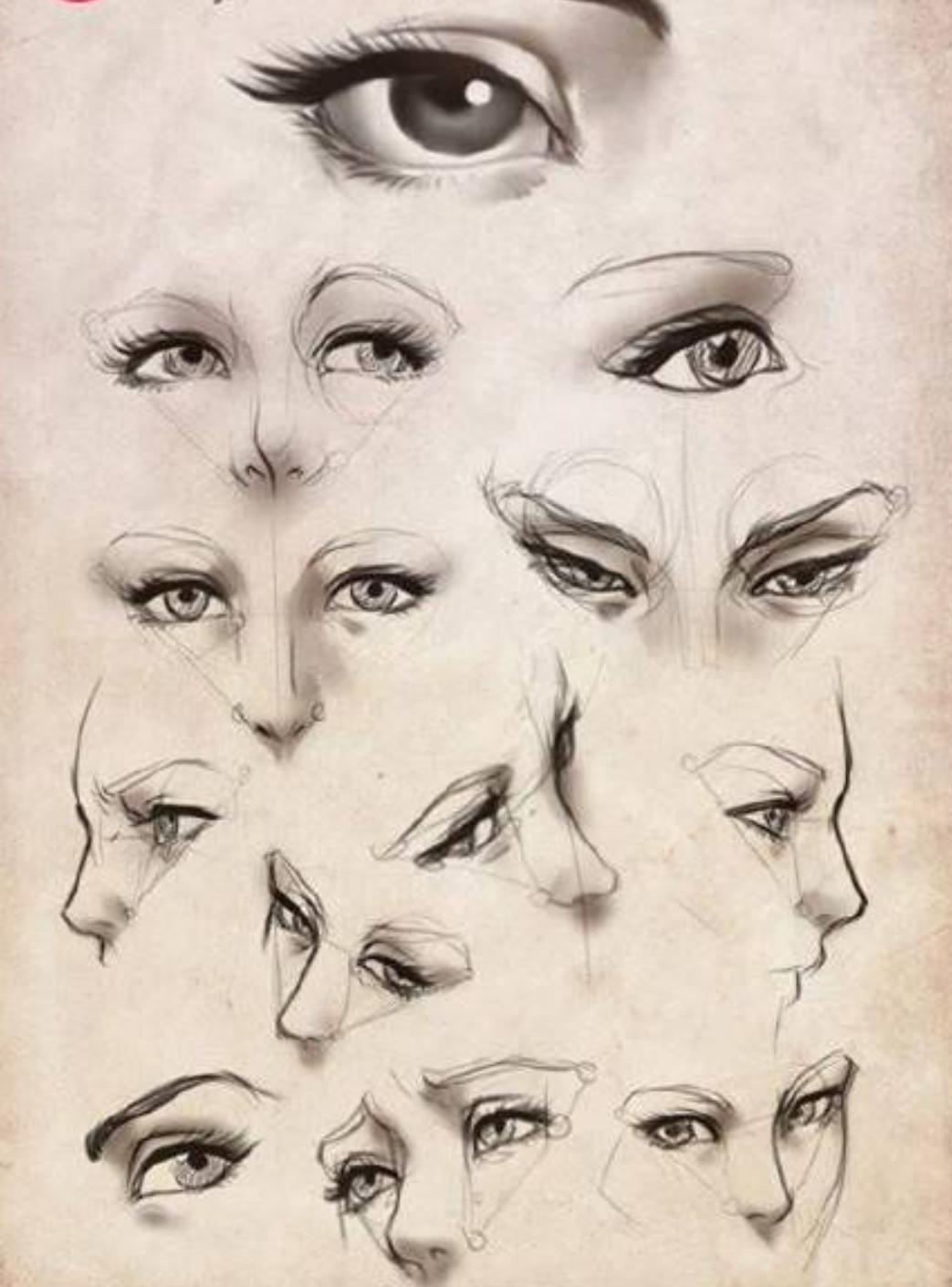 动物眼睛的画法大全,q版人物的眼睛画法