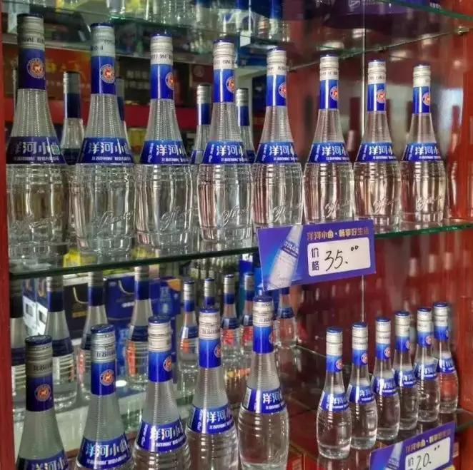 洋河小曲招商,洋河如何成功