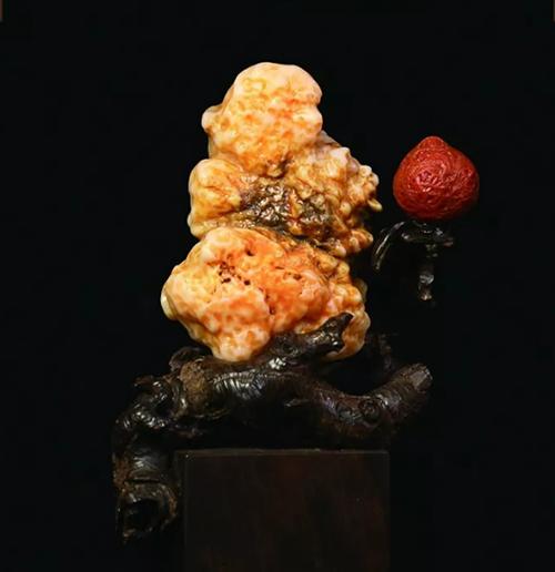 金奖含金量高的石头,国宝级特等奖石头