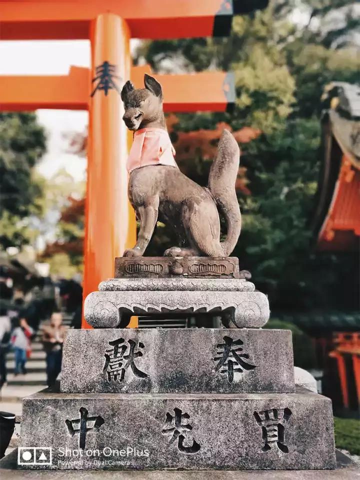 干货可以做不,干货主播好不好干