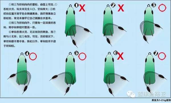 雷强教学,雷强雷蛙手法