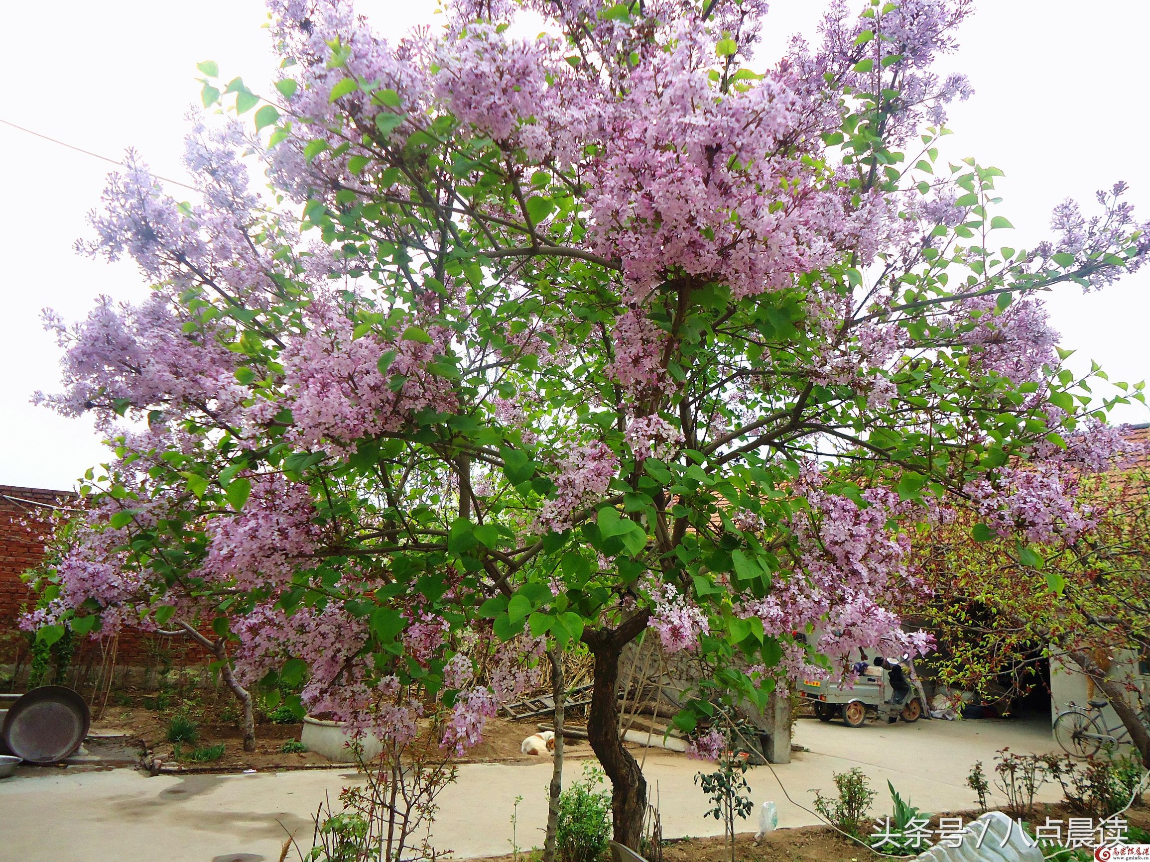 秦汉时期中药著作,秦汉时期诞生最早的医学专著