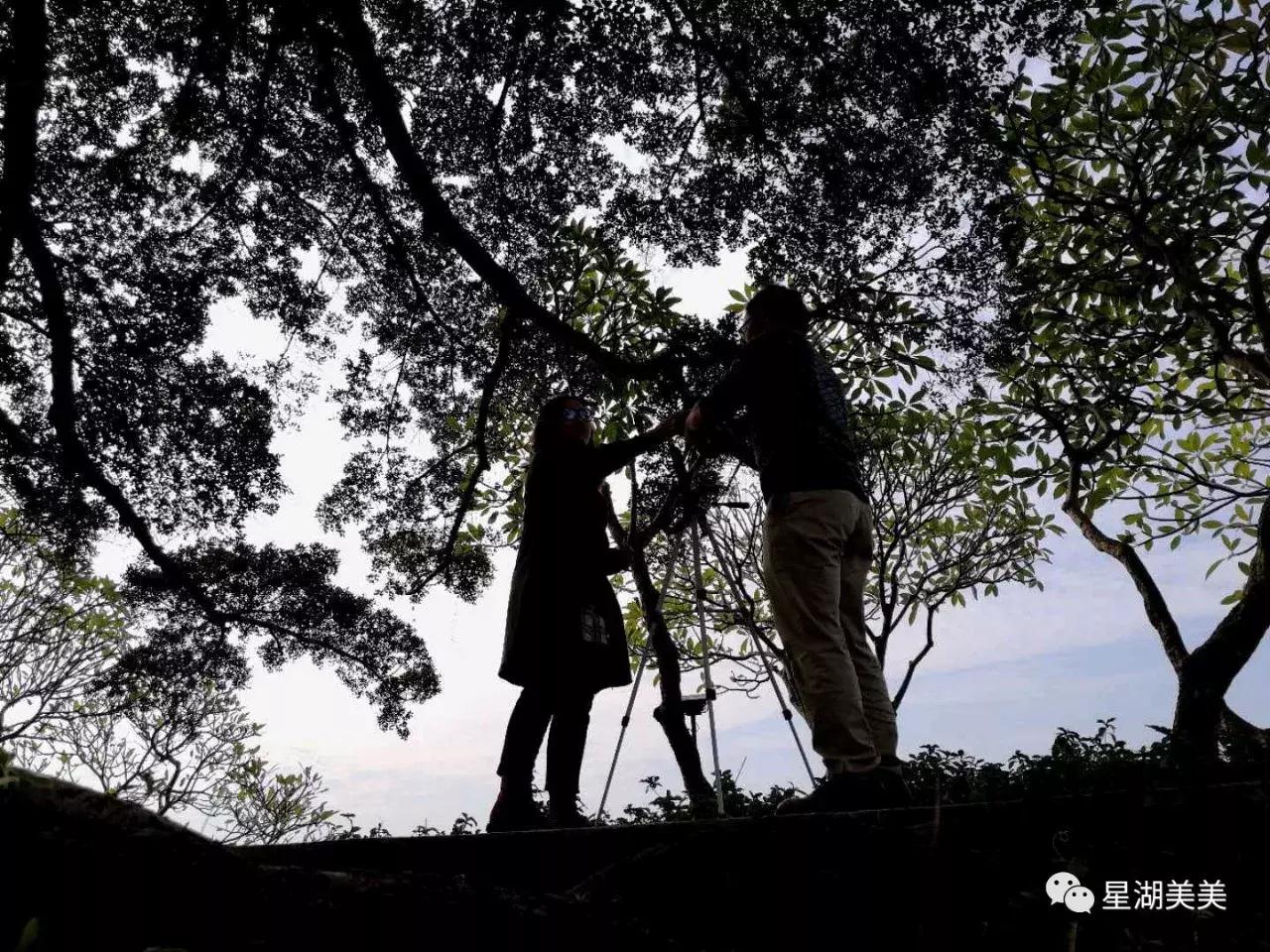 牌坊公园在哪里,牌坊公园肇庆