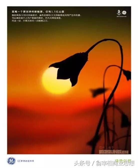 多元集团有限公司,多元经营战略