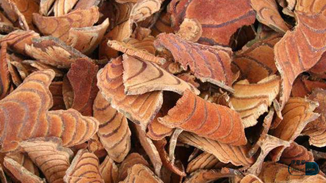 小康每日说：金鸡胶囊治疗子宫内膜炎效果怎么样？有什么副作用？