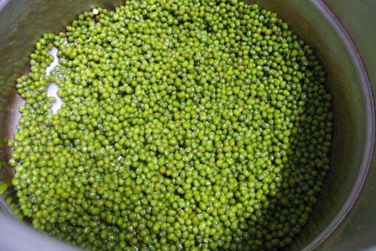 绿豆的营养价值成分表,绿豆的食用与药用价值