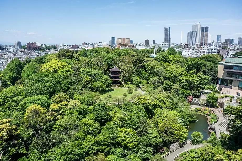 2018年住进日本の百年隐世桃源,尝尽独具特色国民料理尊享生活!