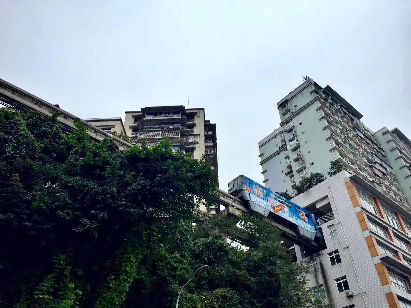 全国为什么喜欢到重庆旅游,你为什么喜欢旅游