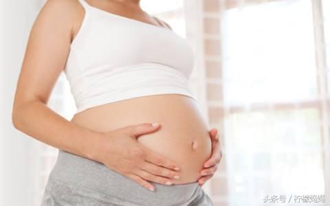 美宝之星孕早期呕吐,美宝之星