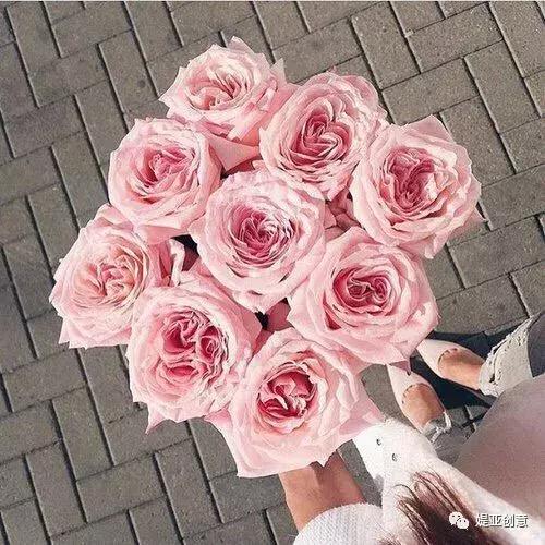 如何开一家花店营销策略案例分享,花店营销渠道与经营策略