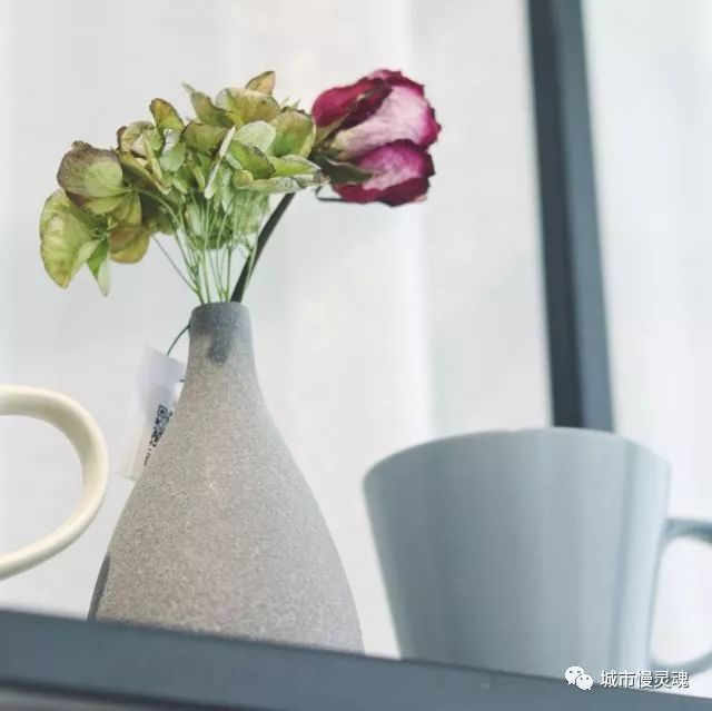 喧闹的社会,喧嚣的城市有这样一家小店