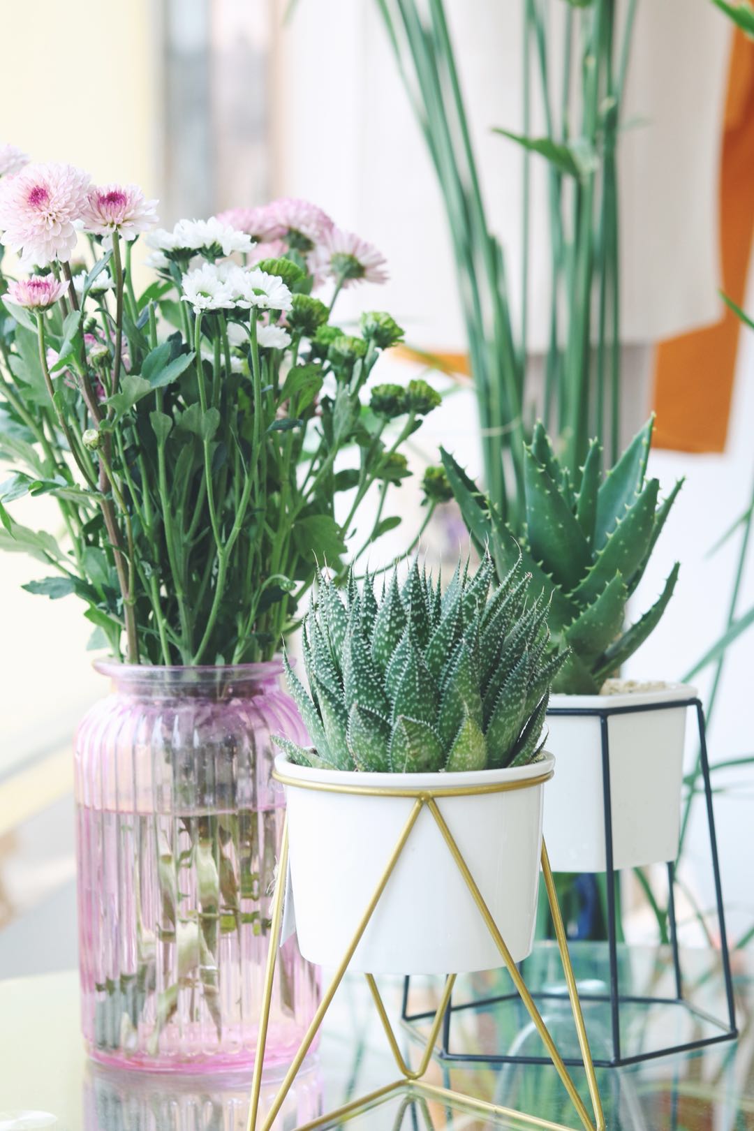 喧闹的社会,喧嚣的城市有这样一家小店