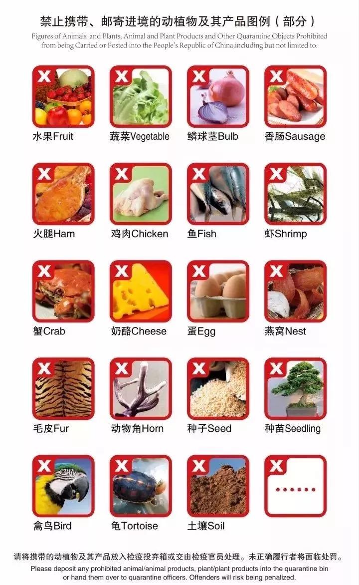 海关留学生回国最新政策,留学生入境海关注意事项