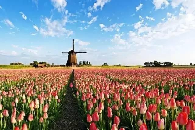 河南鄢陵温泉度假攻略,鄢陵温泉度假小镇