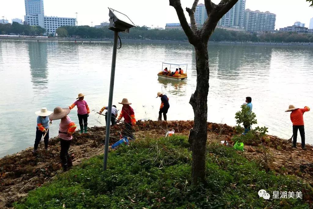 牌坊公园在哪里,牌坊公园肇庆