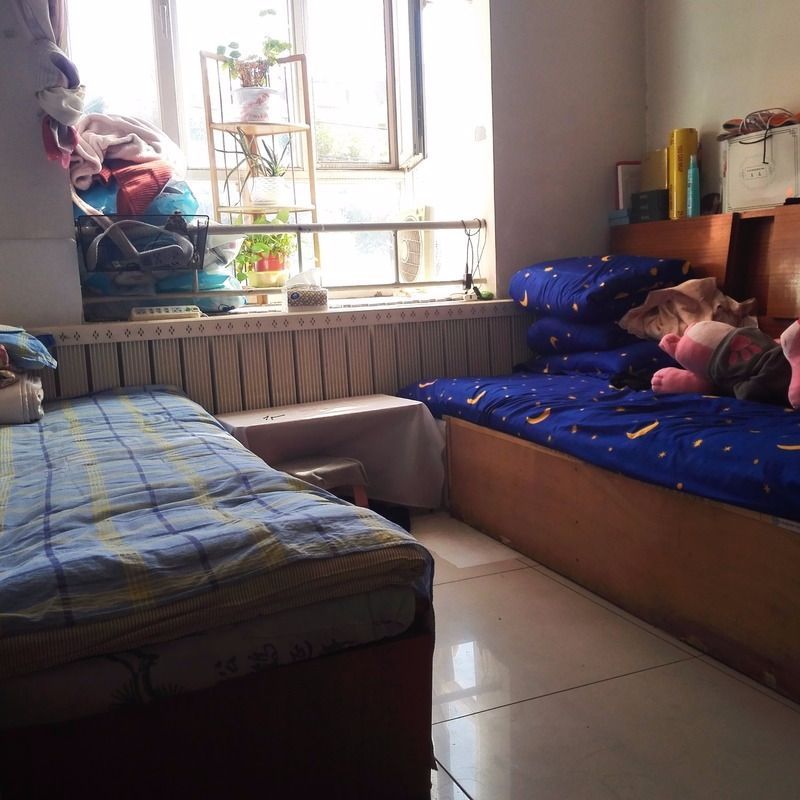 深圳包租婆一个月多少房,晒晒我的出租屋