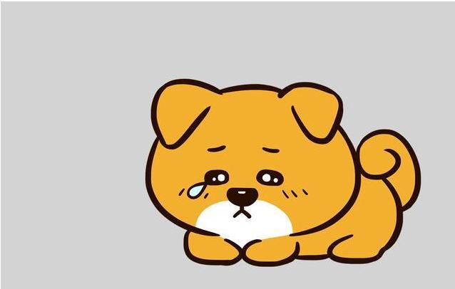 大学生村官服务期满超35岁怎么办,陕西大学生村官期满出路