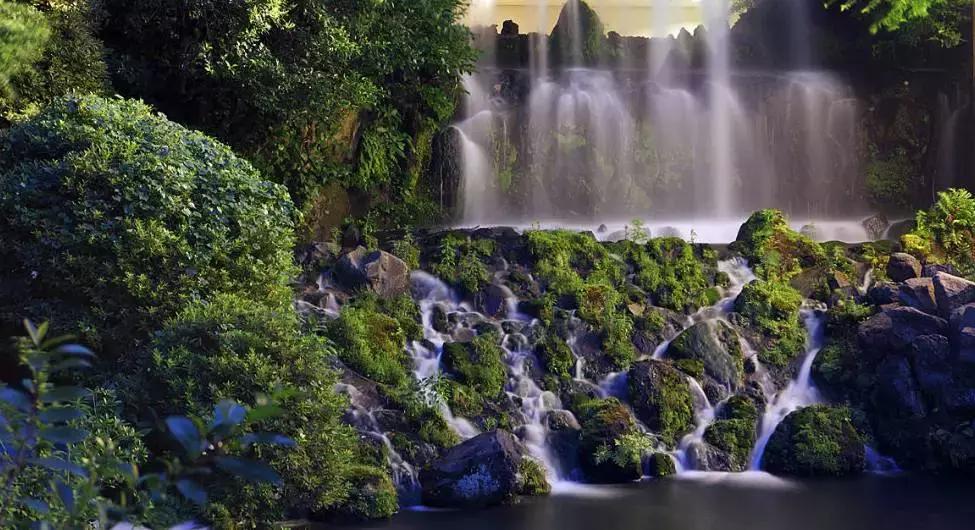 2018年住进日本の百年隐世桃源,尝尽独具特色国民料理尊享生活!