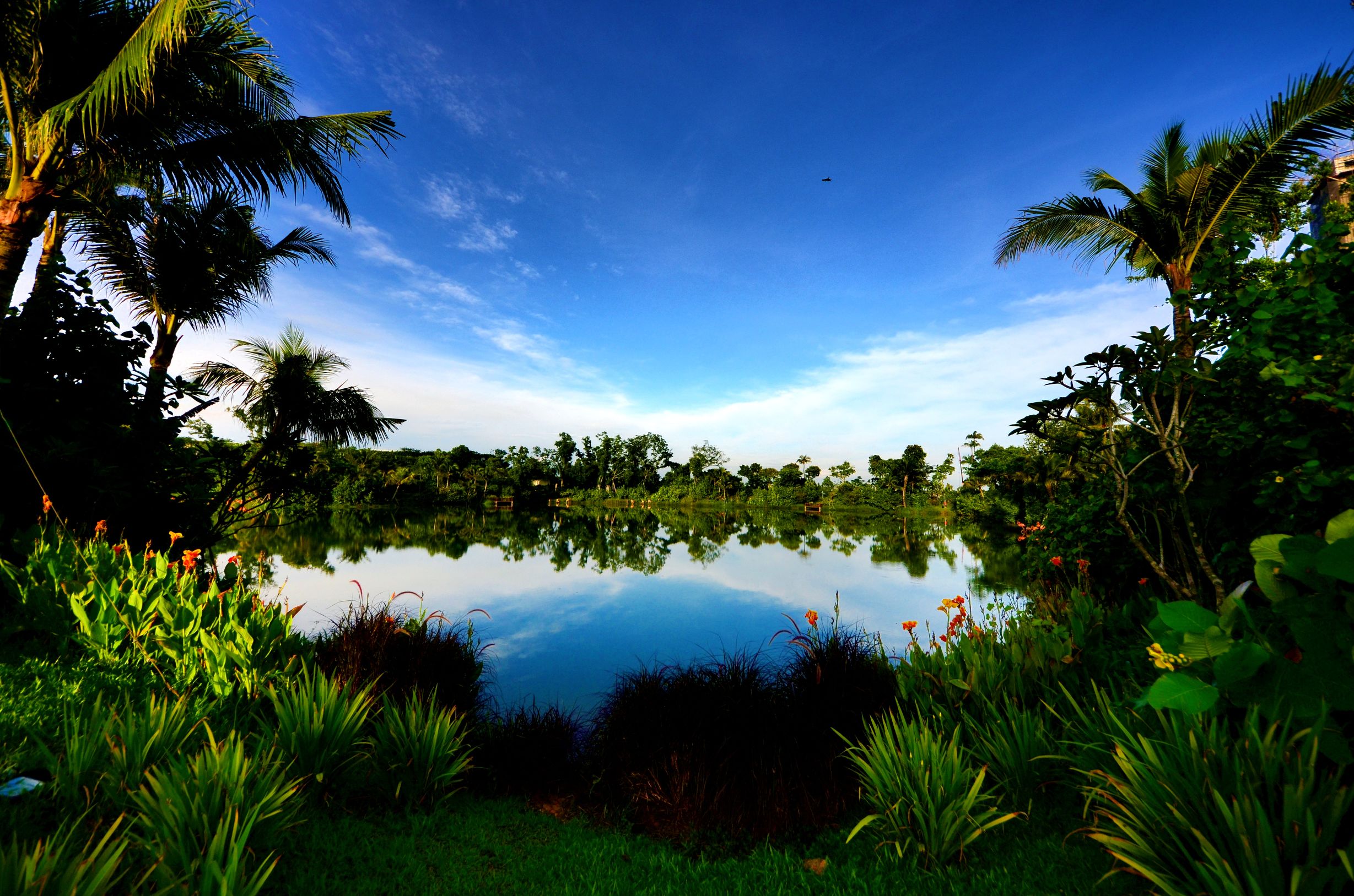 马来西亚新山有多大,马来西亚新山生活真实状况