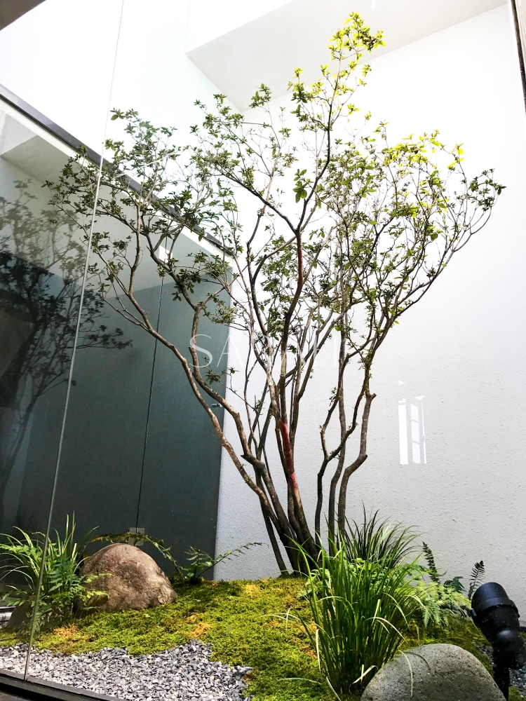 这个真正的“花园”酒店，你不想尝试一下吗？