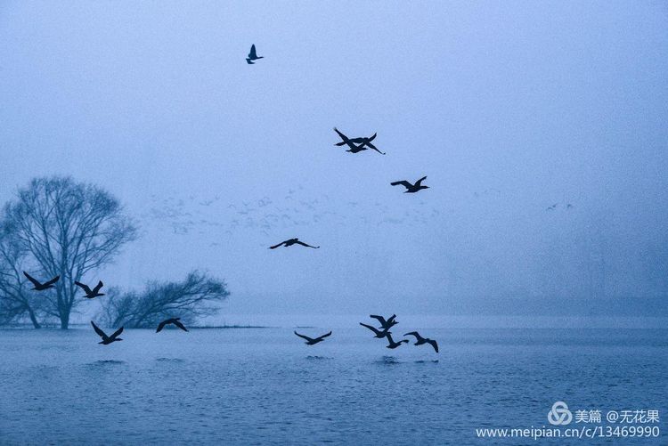 鹤壁淇河风光,鹤壁淇河夜景真实照片