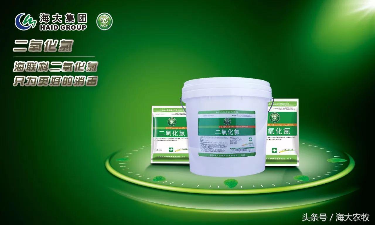 宁德大黄鱼白鳃病,大头鱼白嘴病怎么治疗最好