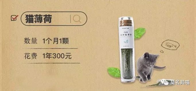 某宝某猫购物评价,某宝买猫100一只是真的吗