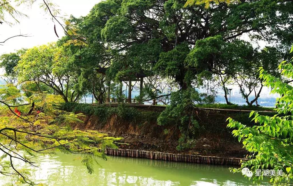 牌坊公园在哪里,牌坊公园肇庆