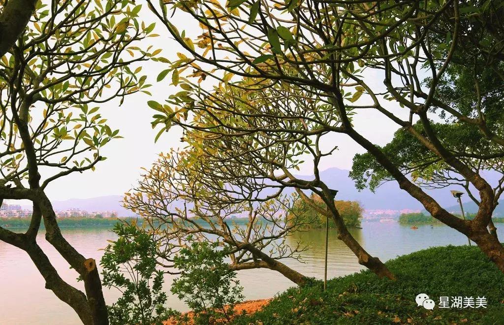 牌坊公园在哪里,牌坊公园肇庆