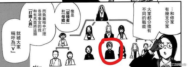 东京食尸鬼ccg和喰种实力划分,东京吃货第四季喰种和ccg合作