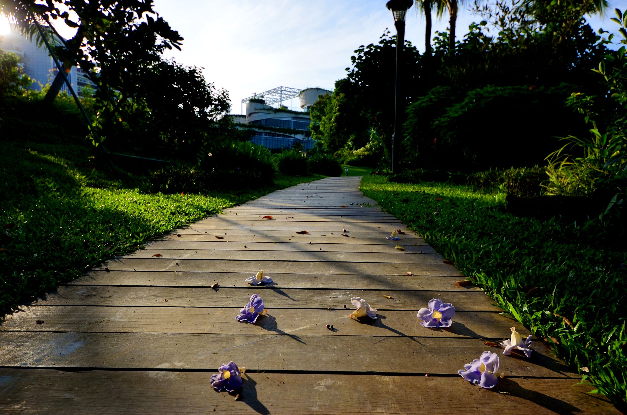 马来西亚新山有多大,马来西亚新山生活真实状况