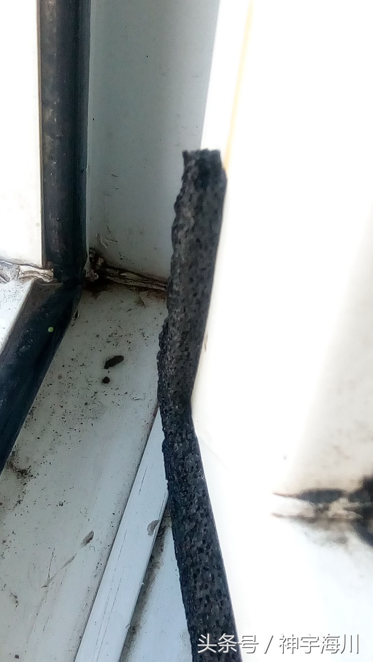 窗户透风的小妙招,防止窗户进灰小妙招