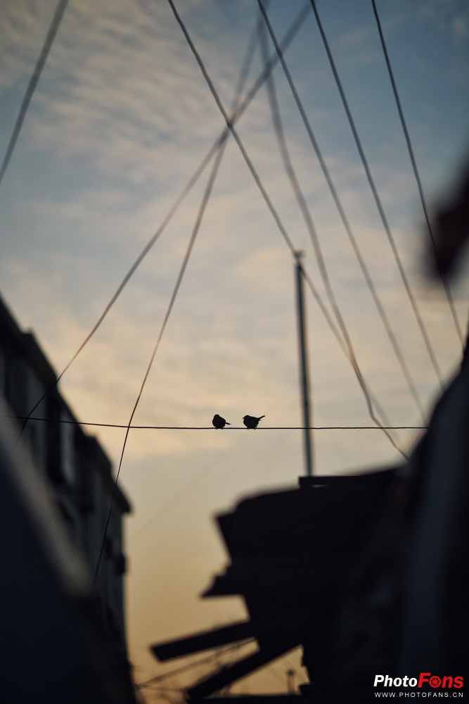 佳能ef85mm1.2人像王测评,佳能定焦镜头ef50mm1.8