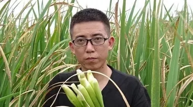 2017终极干货!欢子、猪倌、9妹……百万流量大咖运营攻略都给你!