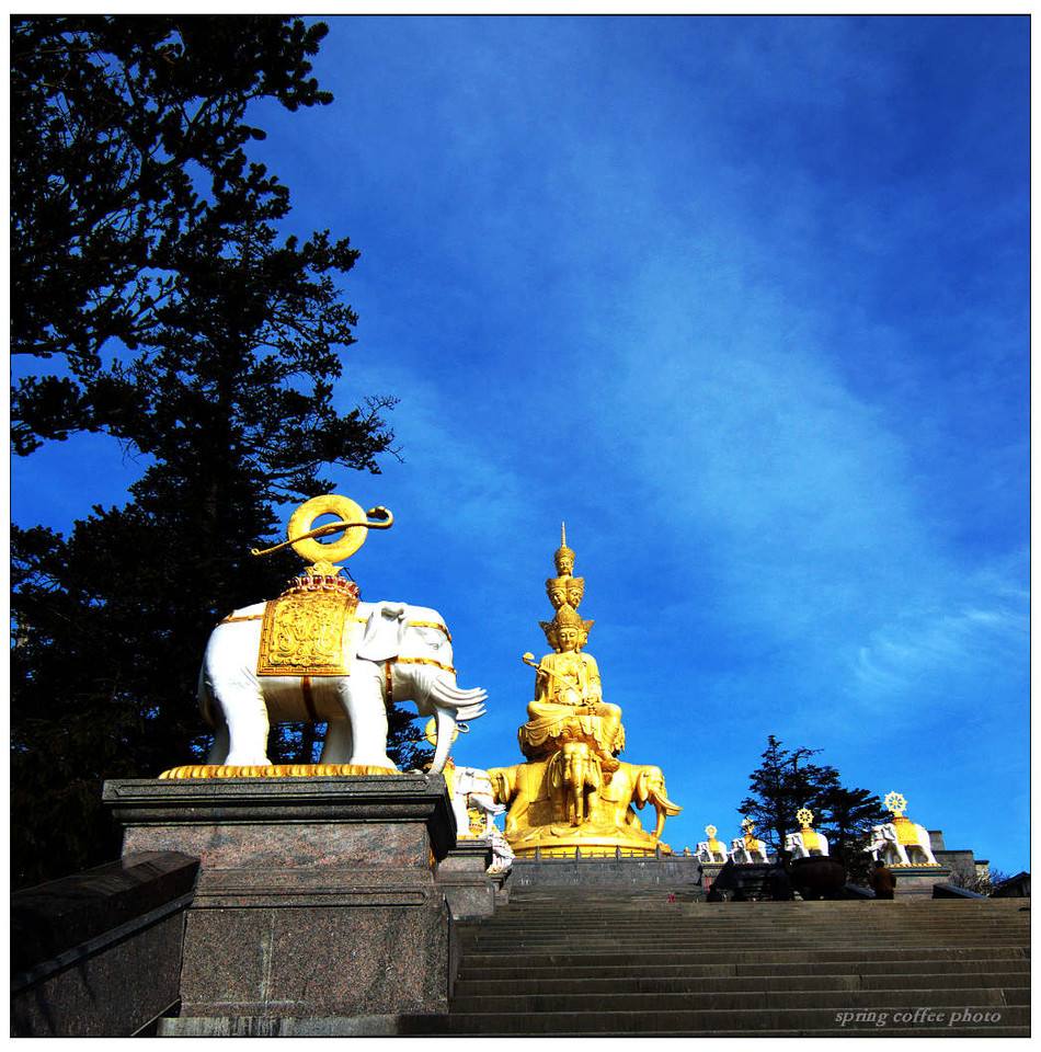 白象能有希望吗,白象到底出了多少东西