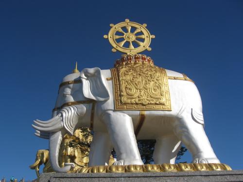 白象能有希望吗,白象到底出了多少东西