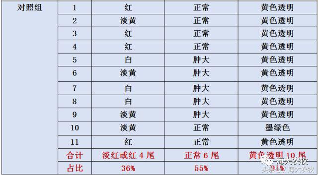 宁德大黄鱼白鳃病,大头鱼白嘴病怎么治疗最好