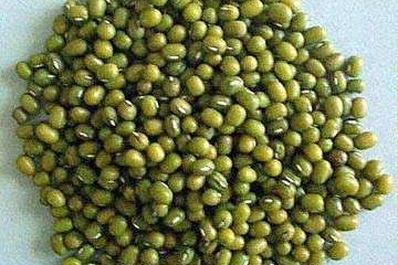 绿豆的营养价值成分表,绿豆的食用与药用价值