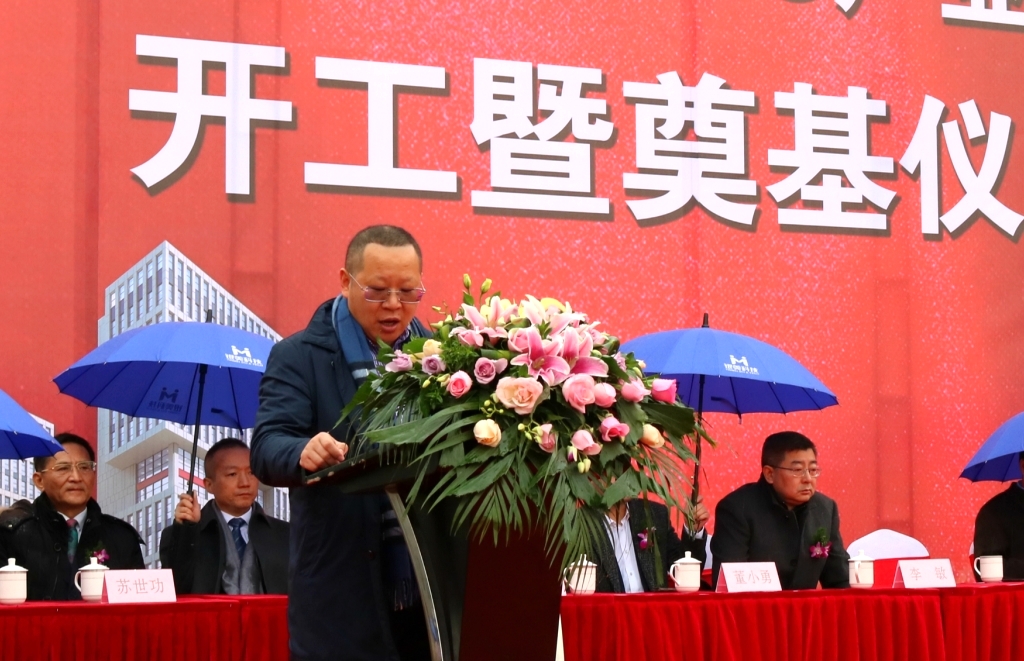 赛银控股,赛银控股简介