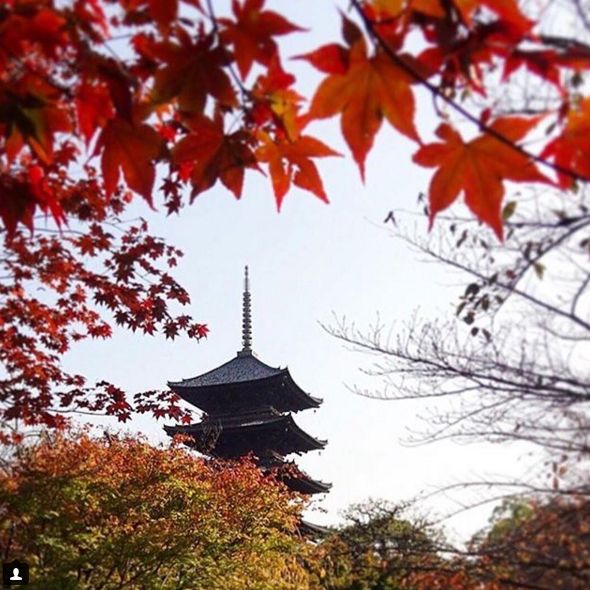 杨树林深唇镜面大牌口红测评,杨树林口红必买色号黄皮推荐