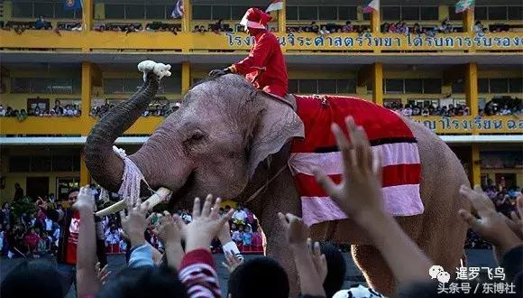 中领馆提醒中国游客注意安全,中领馆提醒中国公民注意人身安全