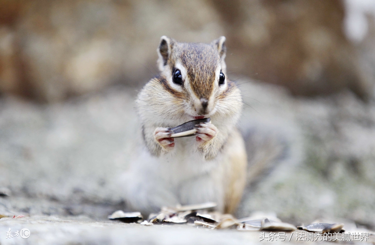 什么情况下会影响打瘦脸针的效果,打了瘦脸针要注意什么事项