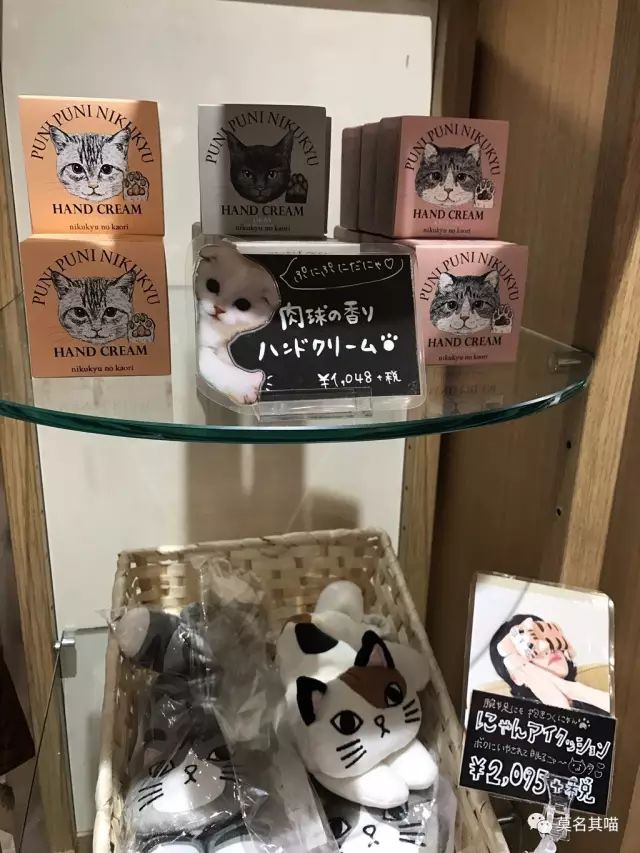 某宝某猫购物评价,某宝买猫100一只是真的吗