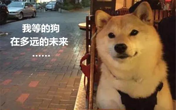 上海人快速赚钱,上海人省钱的最佳方法